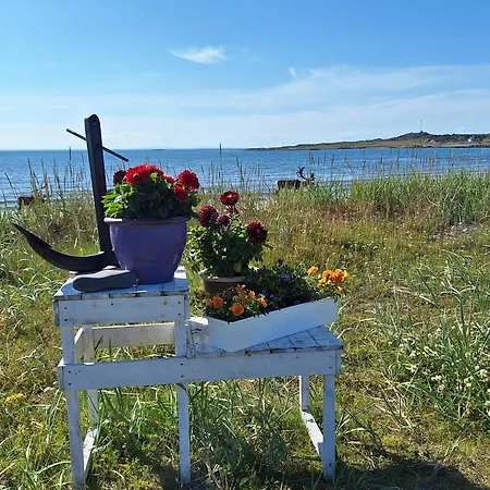 Ved Barentshavet - By The Barents Sea Ytre Kiberg