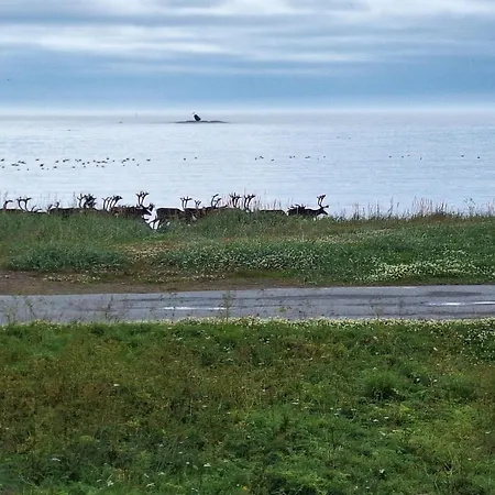 Σπίτι διακοπών Ved Barentshavet - By The Barents Sea Ytre Kiberg